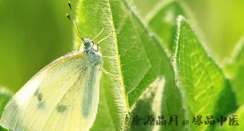 惊蛰的风俗