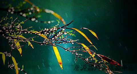 寒食节在什么时候
