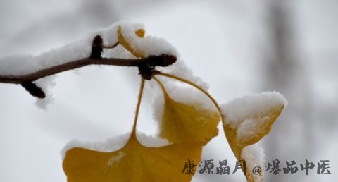 小雪节气怎么养生