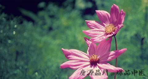 小暑是几月几日星期几