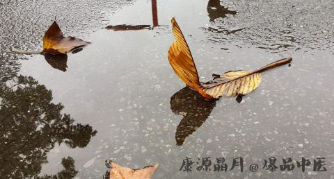 今年谷雨节气下雨吗