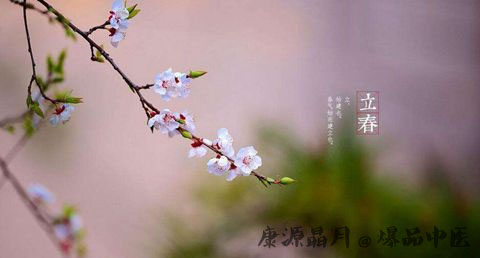 立春怎么迎春
