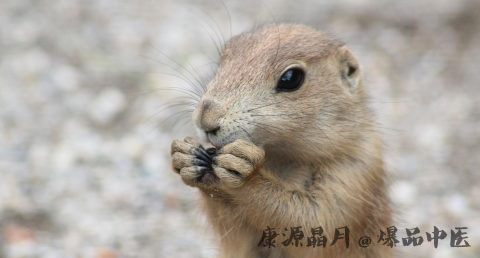 本命年为什么要穿红色