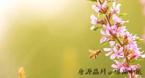 惊蛰的风俗