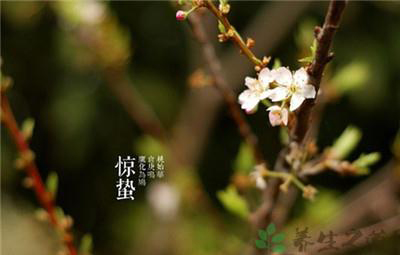 惊蛰是什么意思以及由来