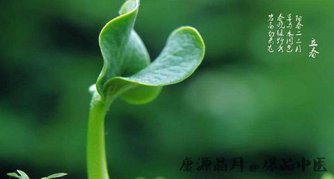 内蒙古立春有什么禁忌