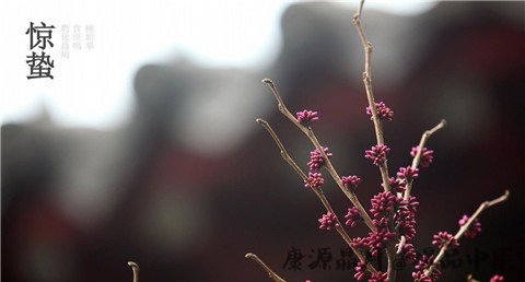 春天惊蛰的特点