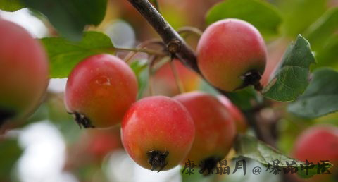 小暑养生知识