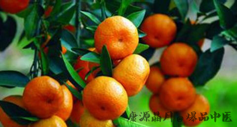 大雪吃什么水果