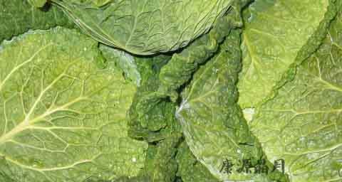 春季应多吃的菜