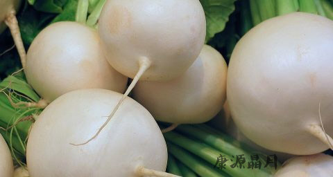 春季适合吃萝卜吗