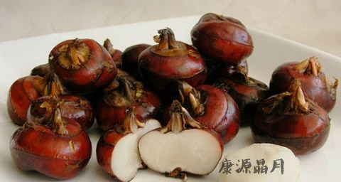 春季发烧吃什么好