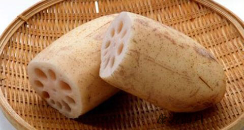 春季小孩吃什么菜好