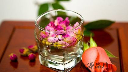春困喝什么茶 九款茶最提神