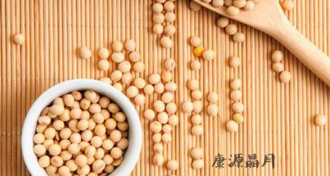 春季吃什么泄火