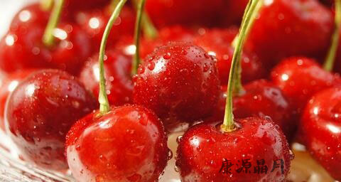 春季宝宝吃什么比较好