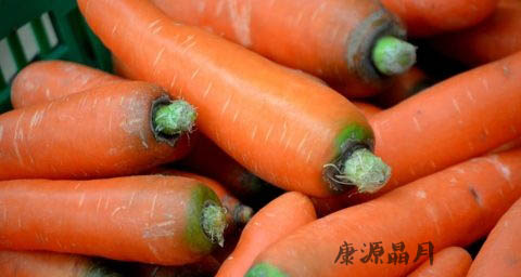 春季吃什么养胃