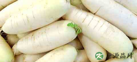春季吃白萝卜好吗