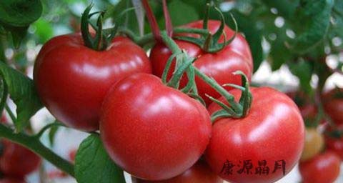 春季男人吃什么好