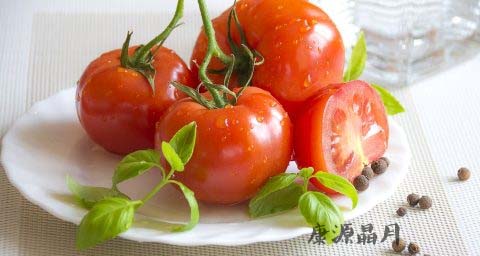 小孩春季吃什么