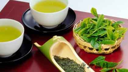 春季防癌食物有哪些