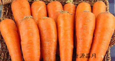 早春季节吃什么食物好