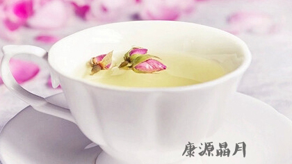 春燥喝什么茶