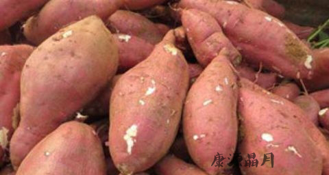 春季润肺吃什么好