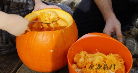 春天怎么吃苦瓜最去火