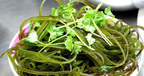 春季适合孕妇吃的蔬菜