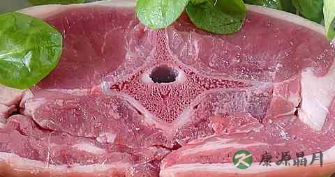 春季能吃羊肉吗