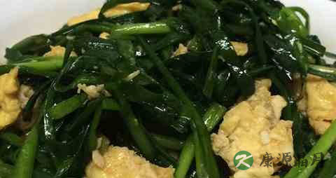 春季吃韭菜好吗