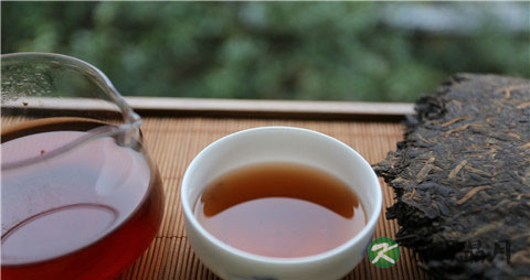 春季喝普洱茶的好处