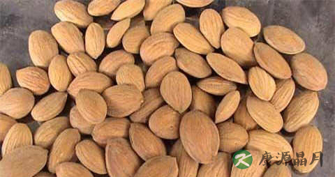 春季吃什么食物补肺