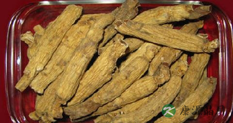 春季可以吃什么药材