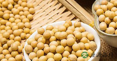 春季儿童长高吃什么