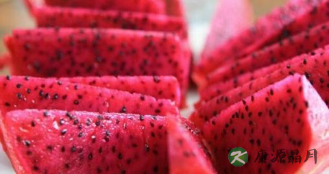 春季吃什么去火