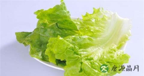 春天吃什么菜比较好