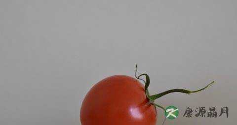 春季饮食养生的方法