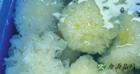 春季吃银耳好吗