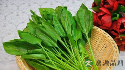 春天吃什么菜好 12种蔬菜推荐