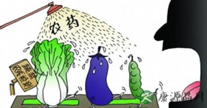 适宜春季养生的蔬菜