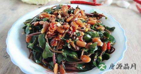 春季什么野菜能吃
