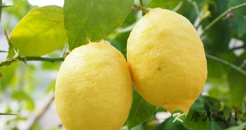 春季给孩子吃什么菜好
