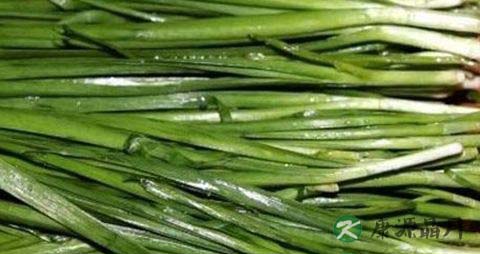 春季养生吃什么豆类好