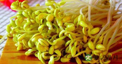 春季应吃什么水果