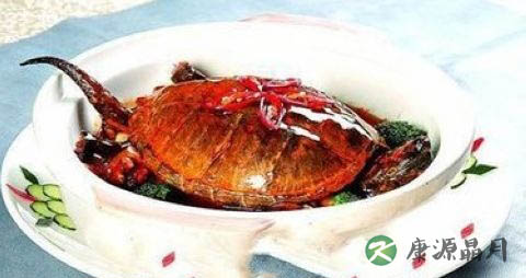 春季吃什么润肺