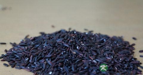 春季吃什么杂粮好