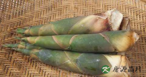 春季进补吃什么