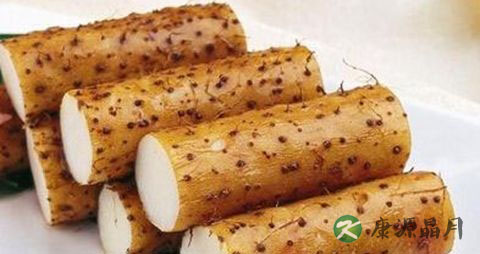 春季养生宜吃哪些食物